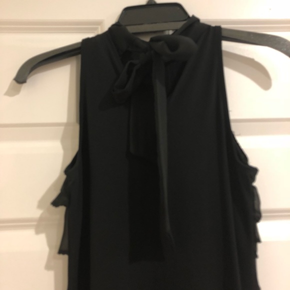 WHBM - Ruffle Mini Shift with Rose - Picture 5 of 6